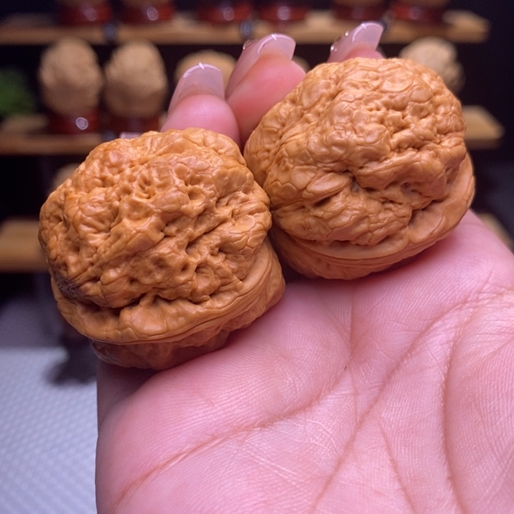 木质类云铁帝王蟾5号40尺