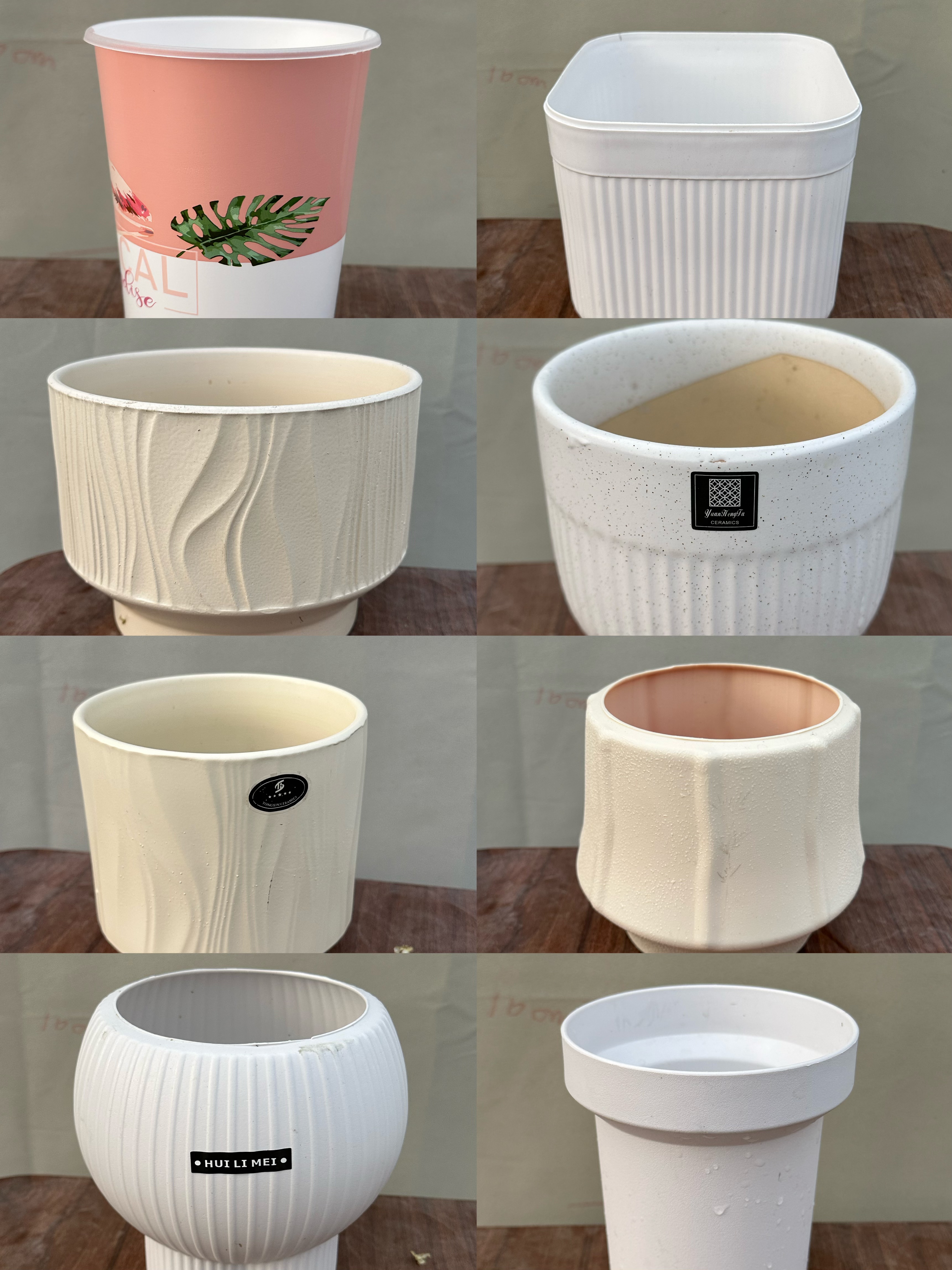 随机蝴蝶兰花盆一个