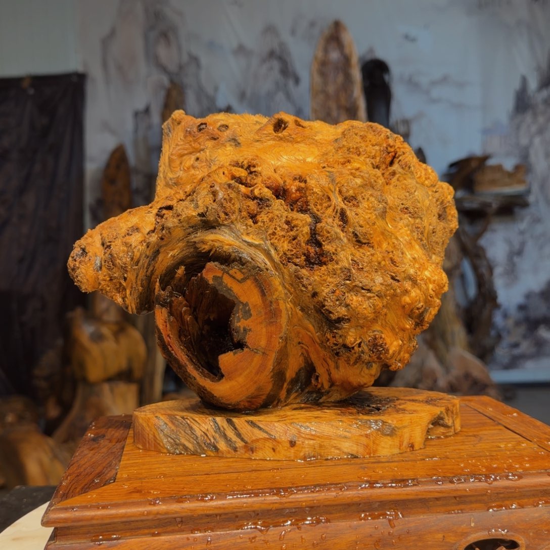 苏***玉木三丰琥珀木 天然摆件32