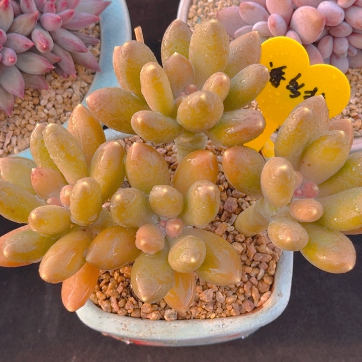 11111111111111111111111111111111