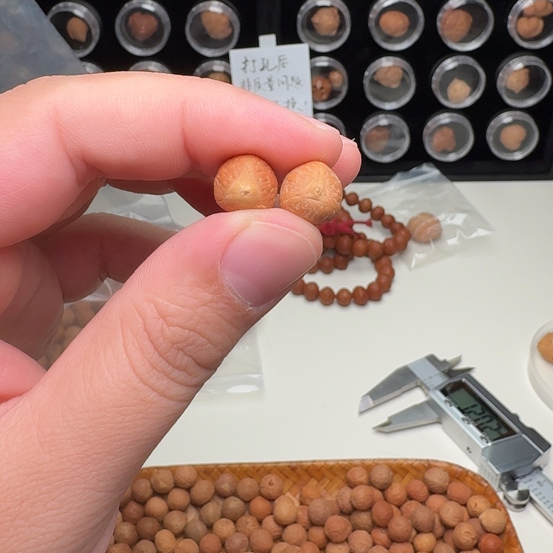 ‘***，凤眼菩提吊坠小龙眼