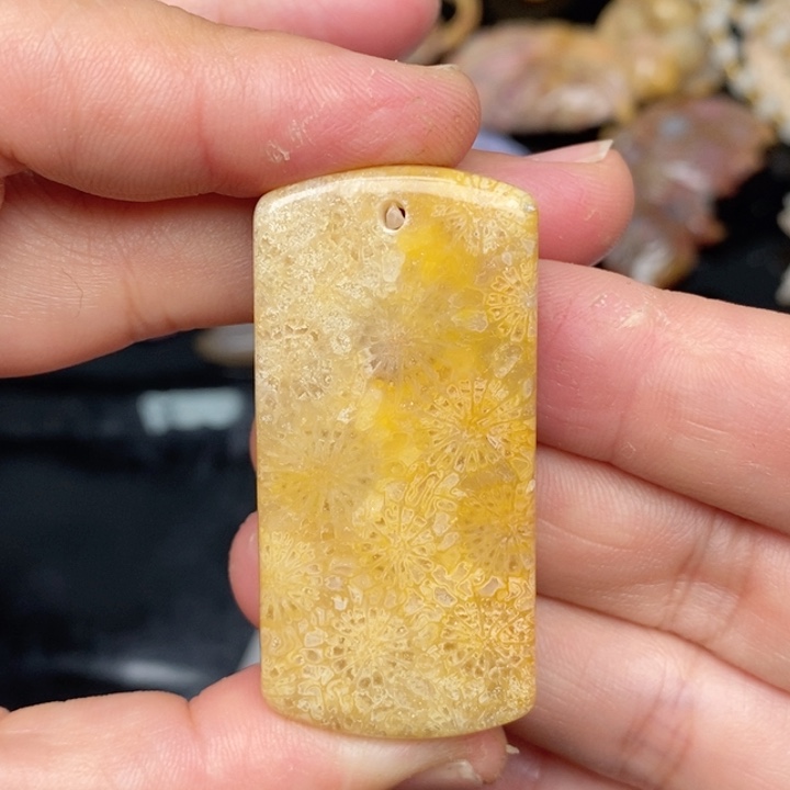 硅化珊瑚（珊瑚玉）手镯未镶嵌