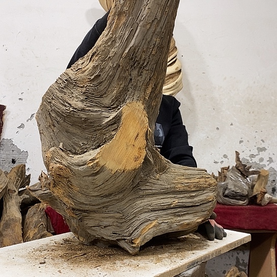 锦***阁柏木我们都是好孩子