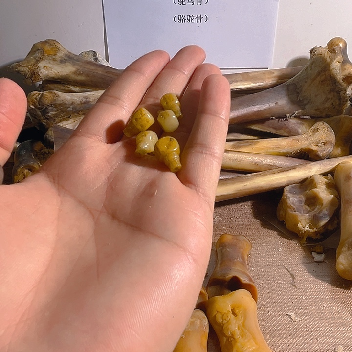 yy鹿角三通小塞子小塞子