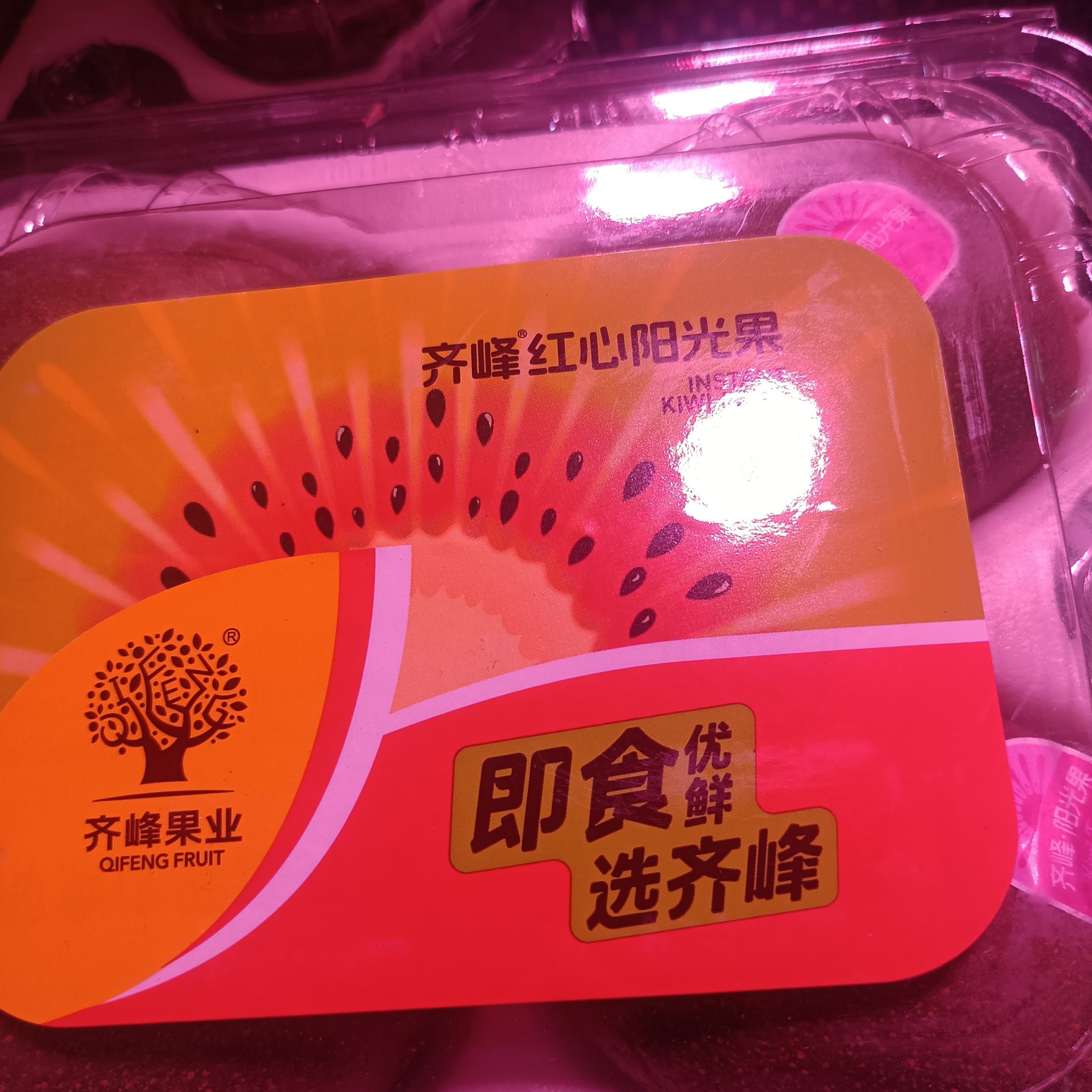 齐峰阳光红心弥猴桃