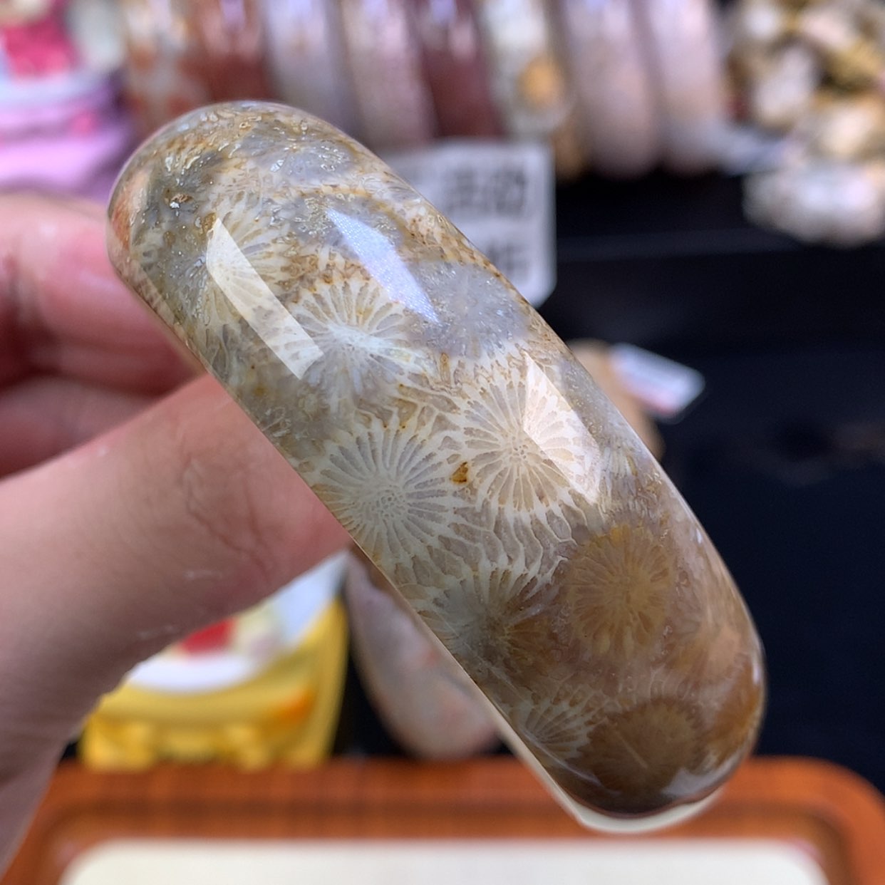 【闪购商品】颈饰未镶嵌硅化珊瑚（珊瑚玉）96号58圈大花花