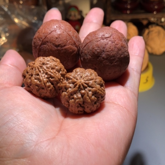 吊坠橄榄核金刚菩提2对