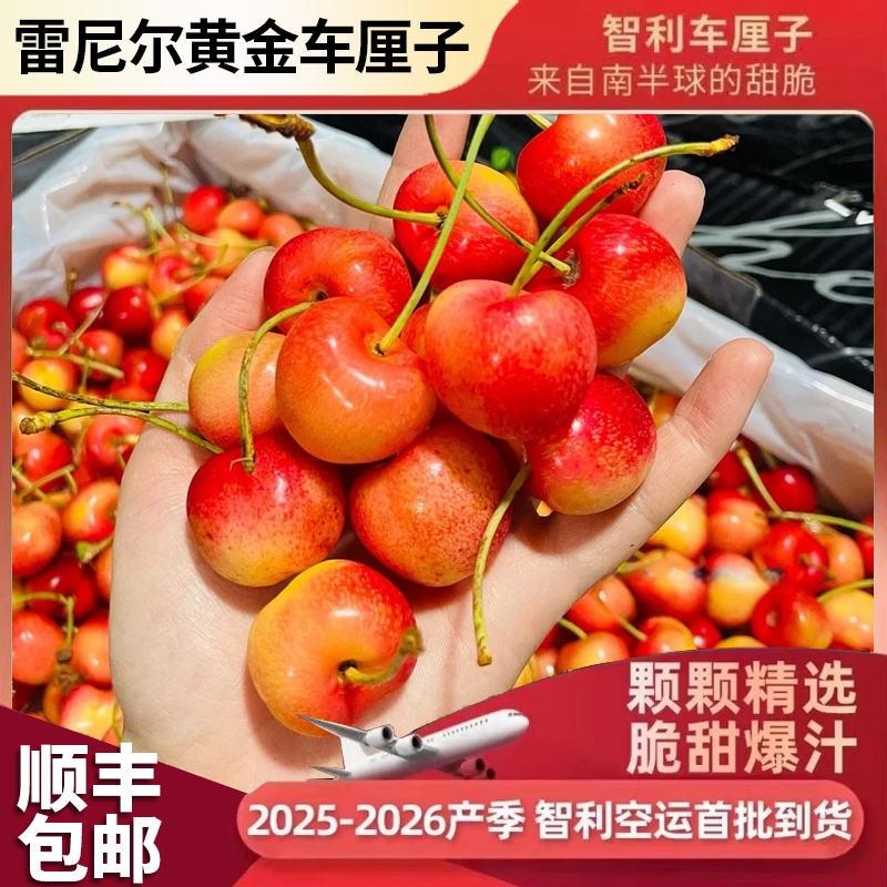 顺丰海运智利雷尼尔黄金车厘子J-5J礼盒装1-4.4斤樱桃内附果径卡