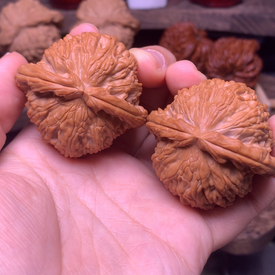 驯***滴文玩核桃把件46白狮子全品