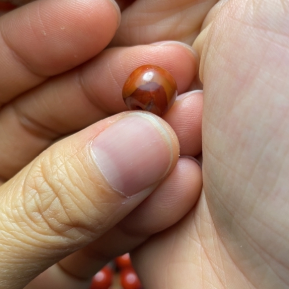 【闪购商品】南红玛瑙单珠10多样性发1未镶嵌