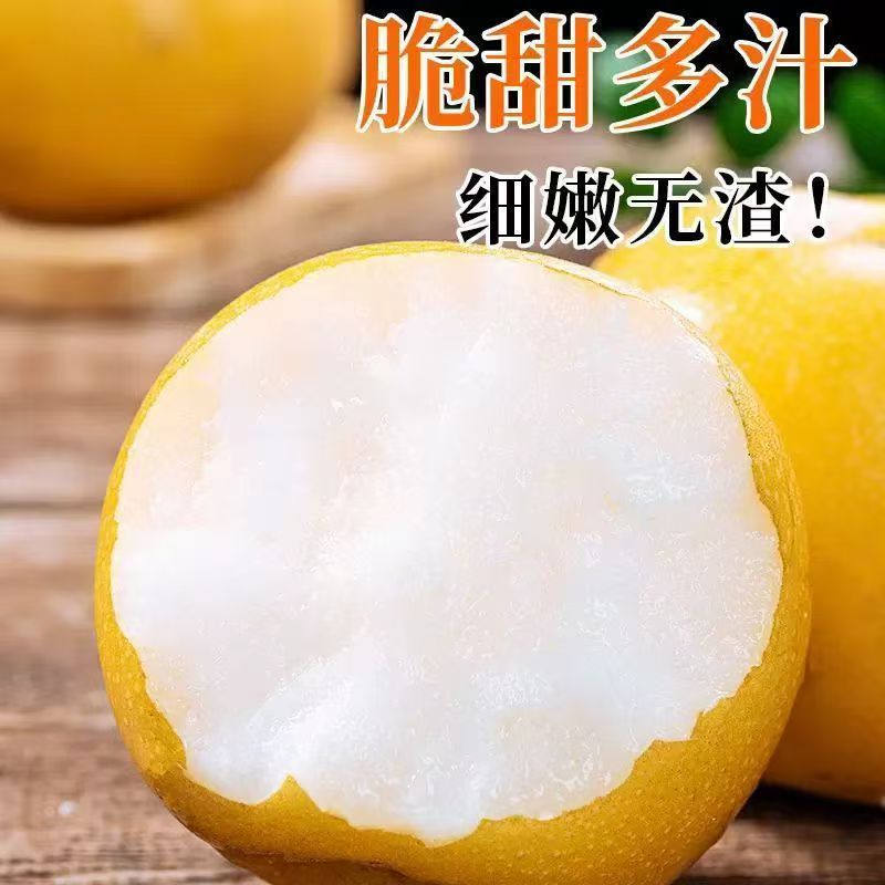 秋月梨老树梨大果脆甜多汁皮薄无渣肉厚核小山东梨新鲜水果整箱发