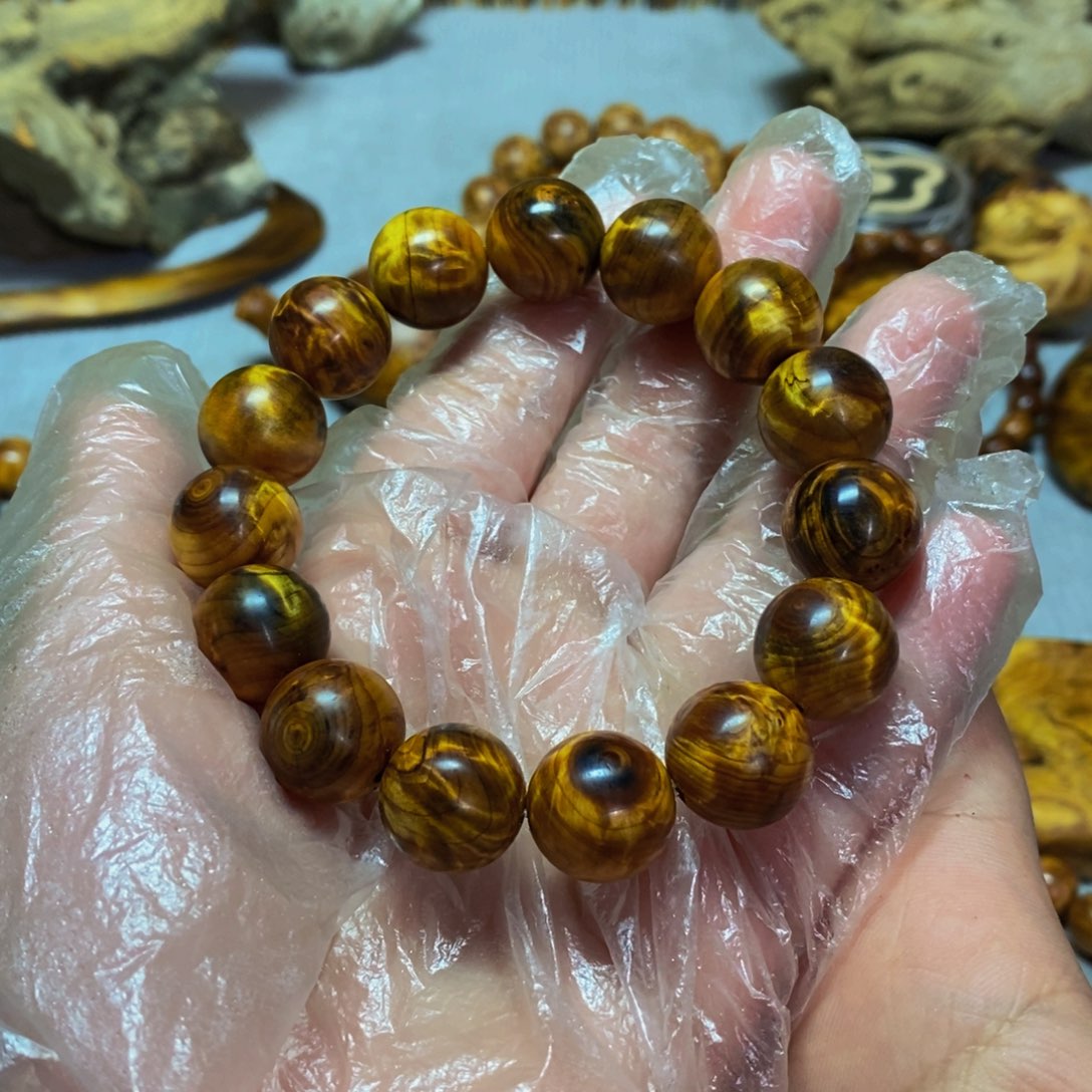 柏木（崖柏）东太行崖柏