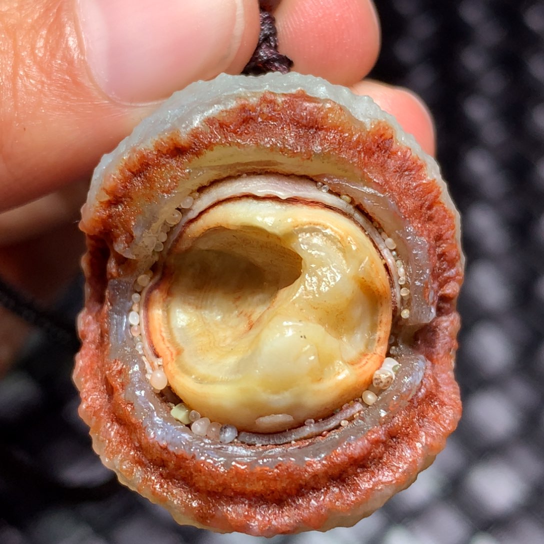 未镶嵌玛瑙/玉髓珠宝半成品