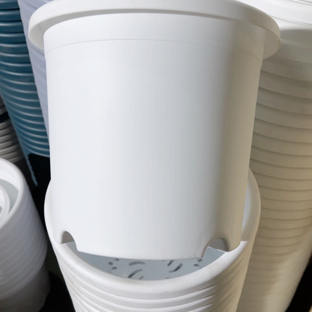 树脂四季5#无拖纯白6个