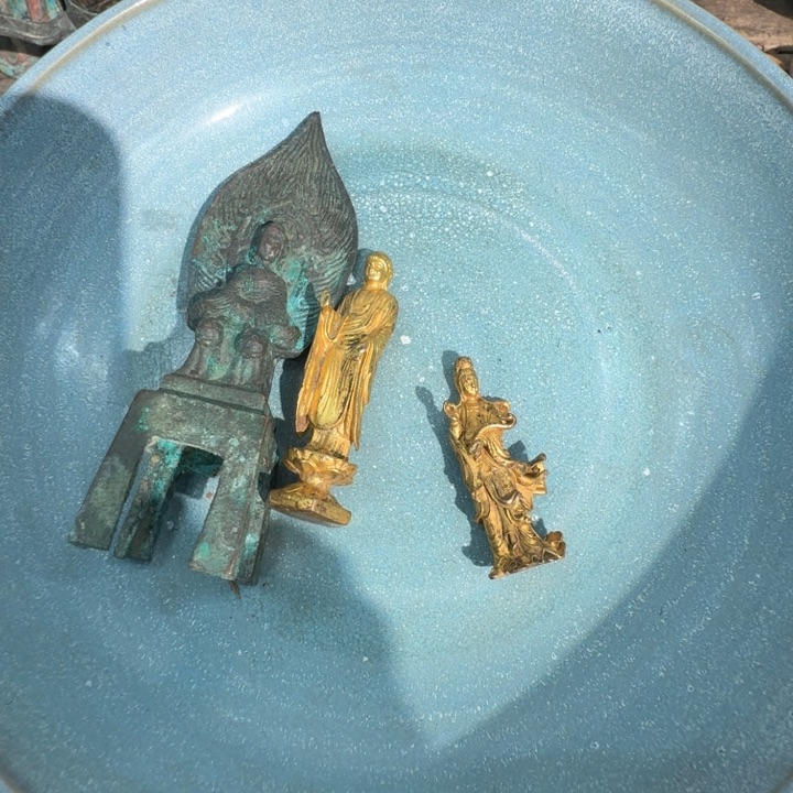 茶宠听**雨88888888888888888