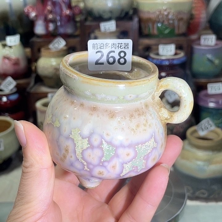 红陶内口径6高度6