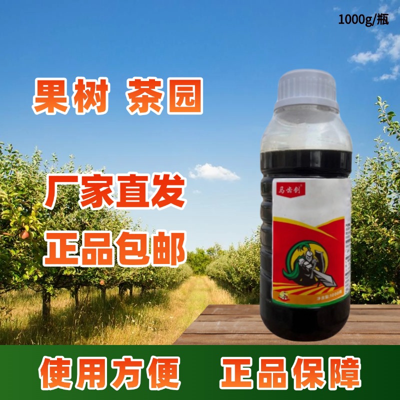 果园茶园搭配方便防治绿色厂家包邮马齿剑大量有机质
