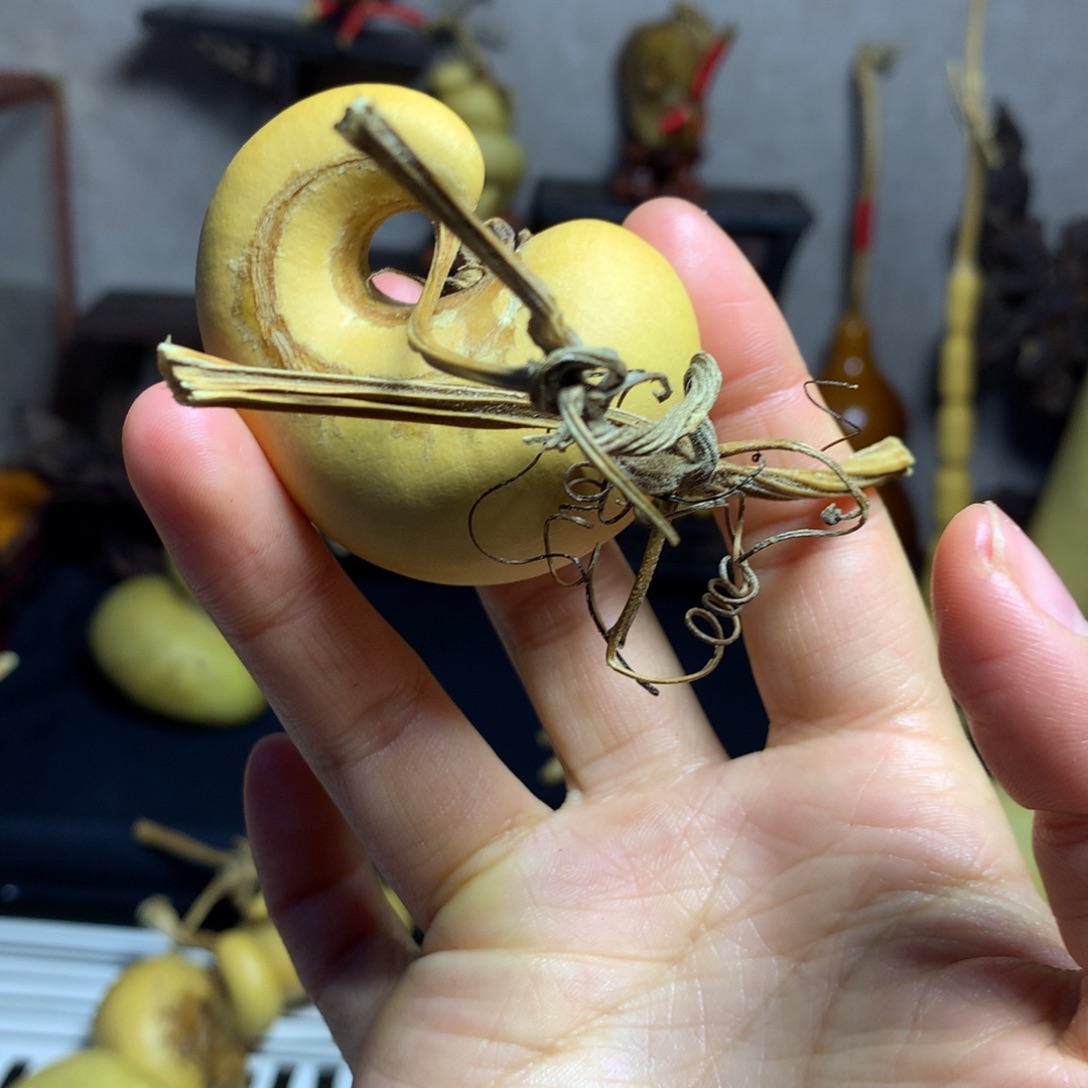 运***坤葫芦葫芦真的好可爱