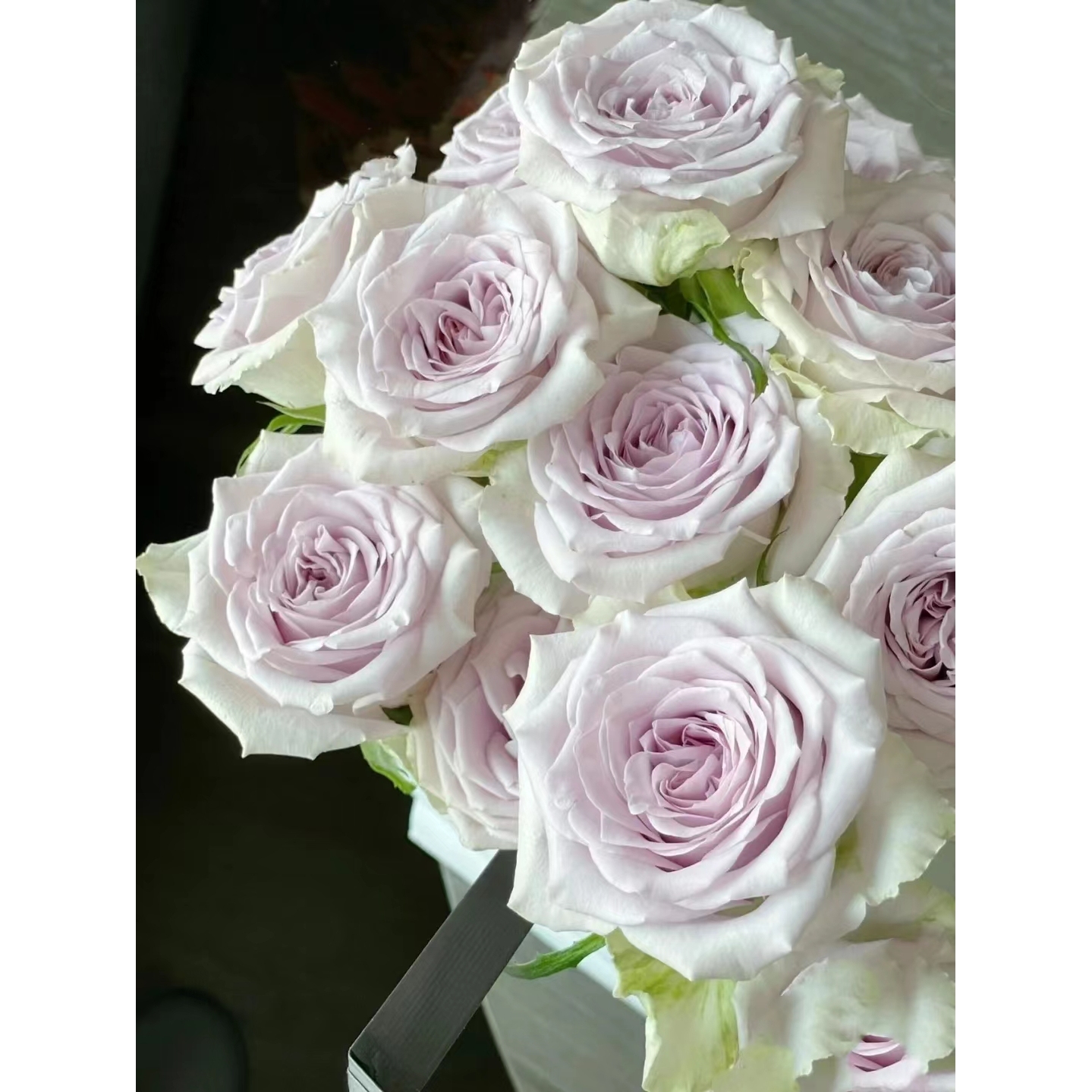 38 海洋之心10支+紫荷包蛋小菊3支+彩蝶康10支吸色紫色紫罗兰一把