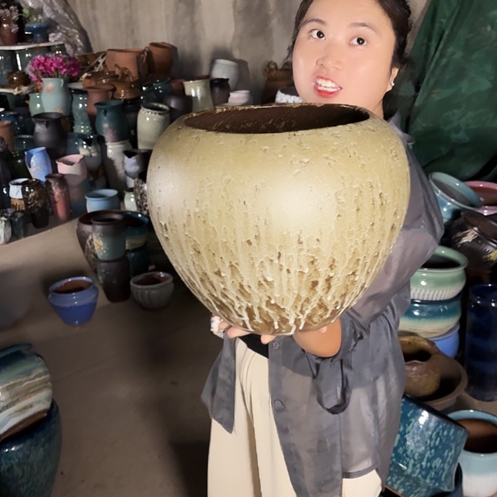 24口27高瑕疵一个盆子。