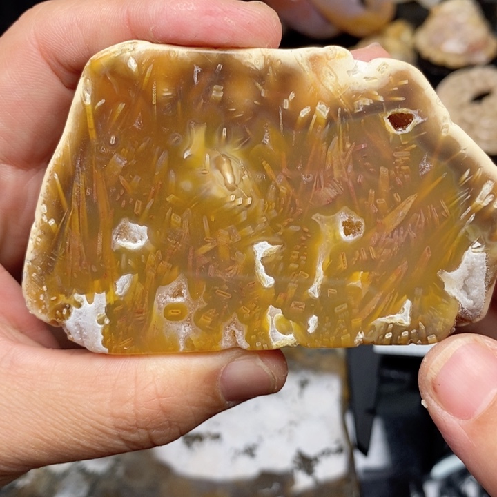 硅化珊瑚（珊瑚玉）手镯未镶嵌