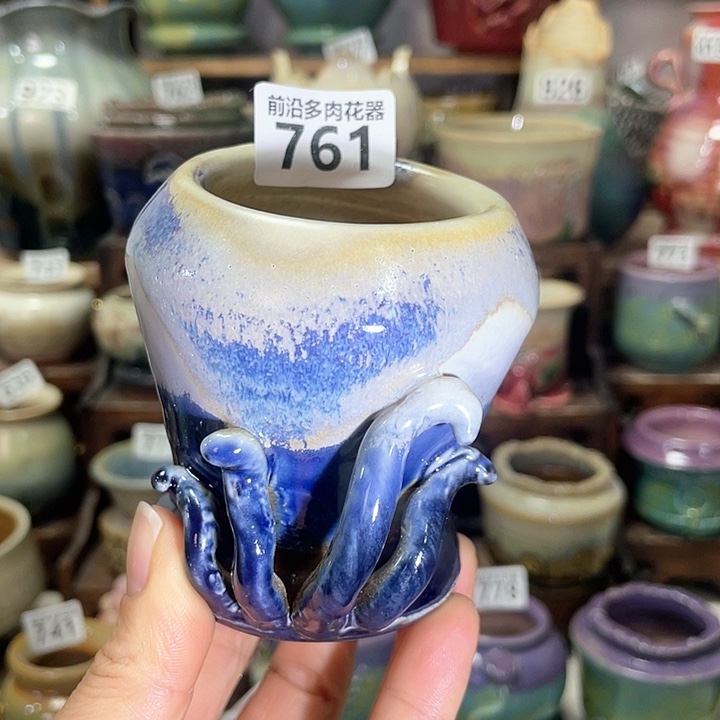 红陶内口径5高度9