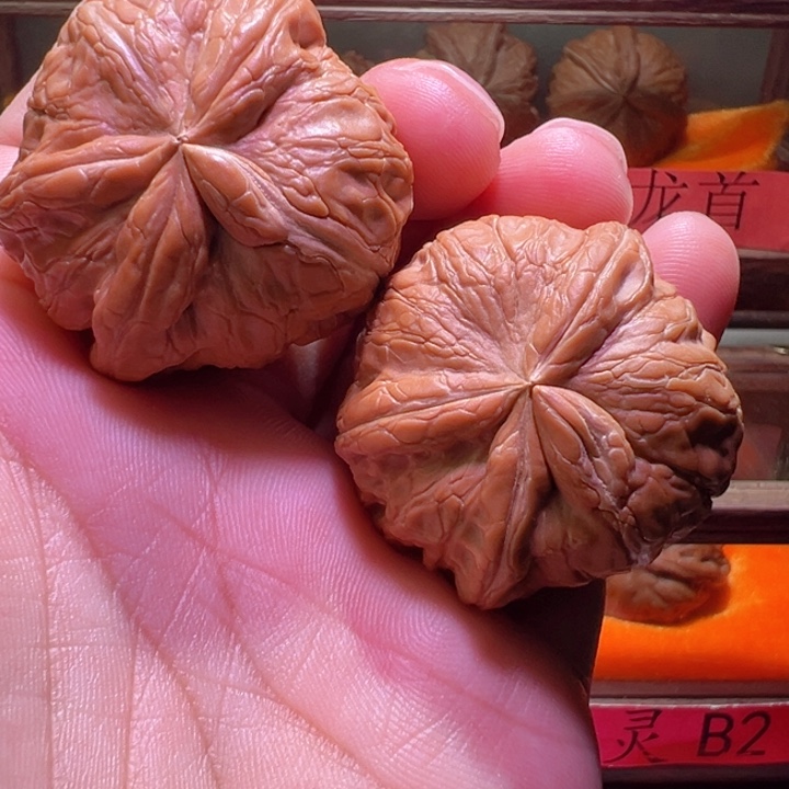 平谷元宝生命之源挂犀牛麻核桃