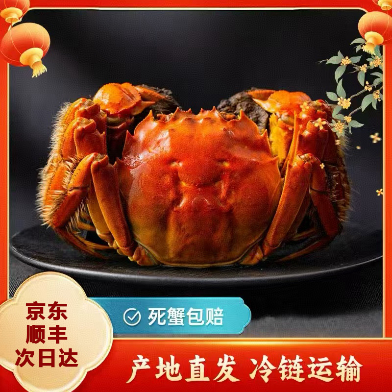 5两公【活蟹】正宗阳澄苏州大闸蟹+公5两-4.7两/只*六/八/十只装 现捕捞 空运包邮