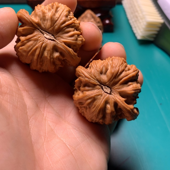 把件文玩核桃氣白狮子