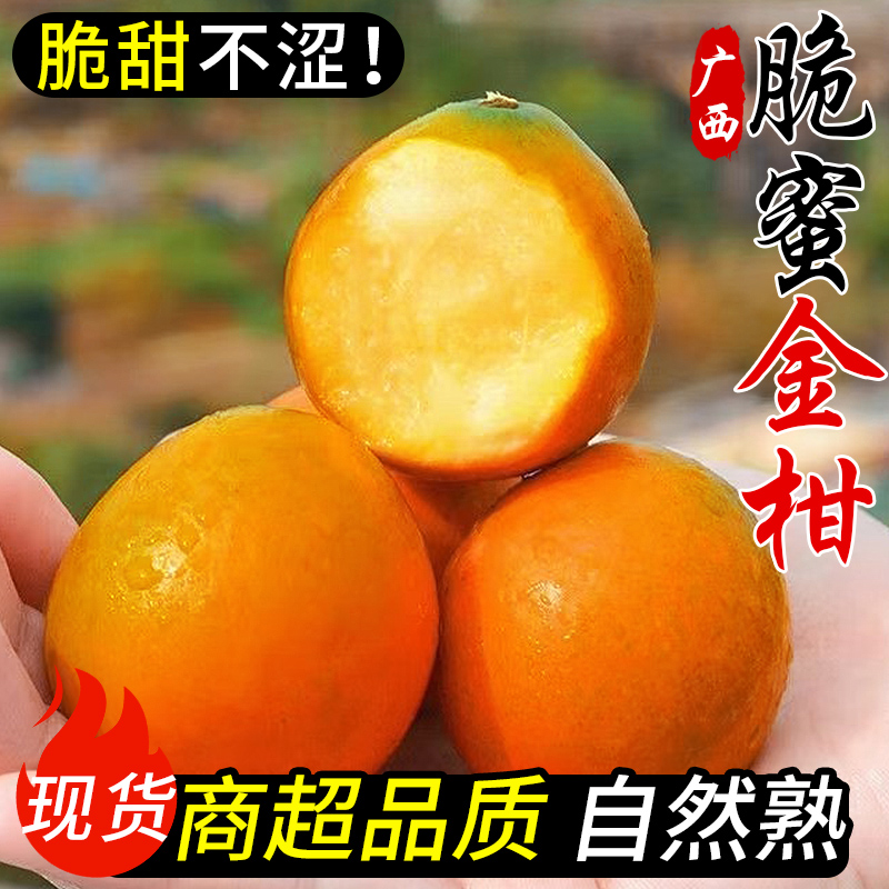 正宗第三代广西融安脆蜜金桔无籽脆蜜金柑鲜果纯甜当季水果礼盒装