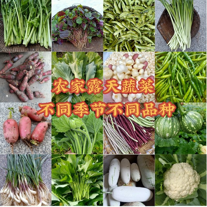 现称现买改价链接