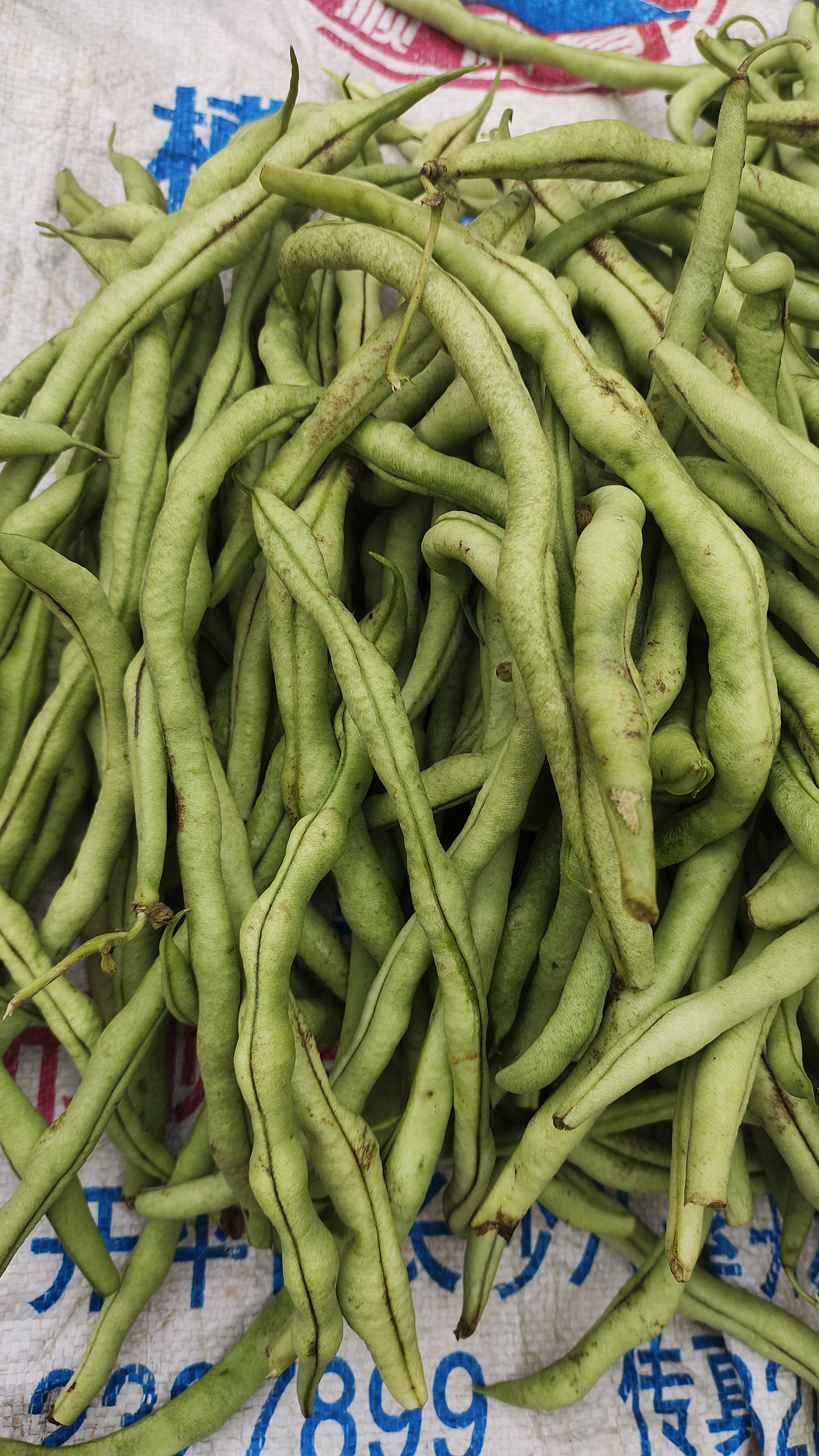 农村赶集新鲜无劲豆