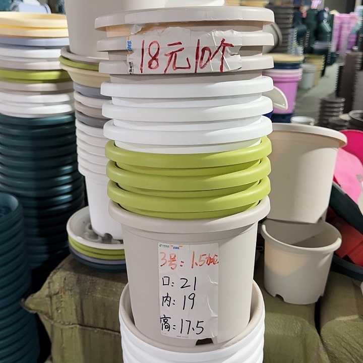 四季3#口径21果绿10个无托