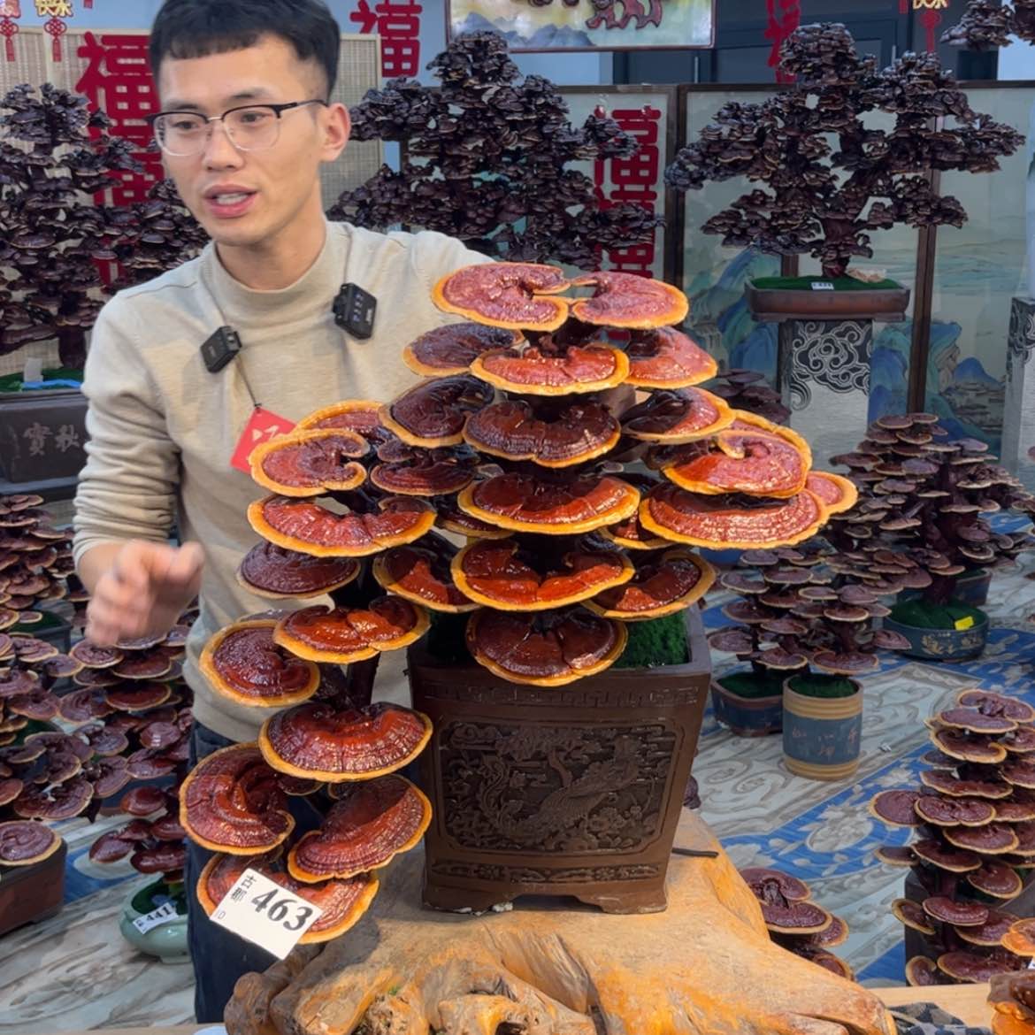 【闪购商品】699888