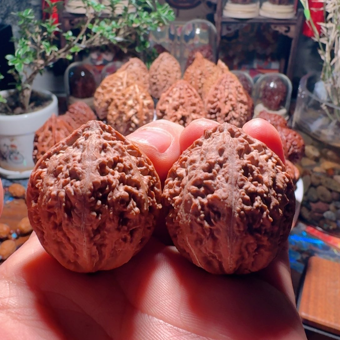 吊坠文玩核桃蚂蚁蛋