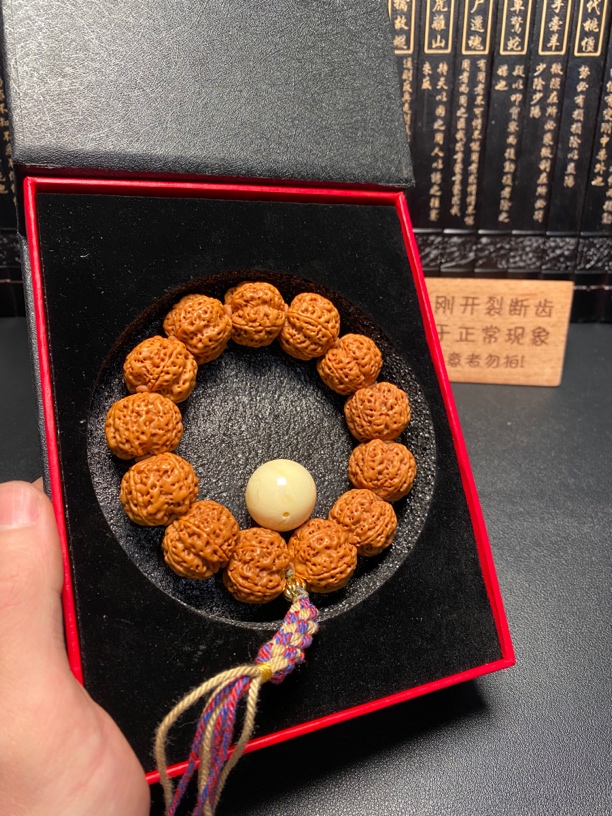 新品爆肉双龙大梅花（8号）