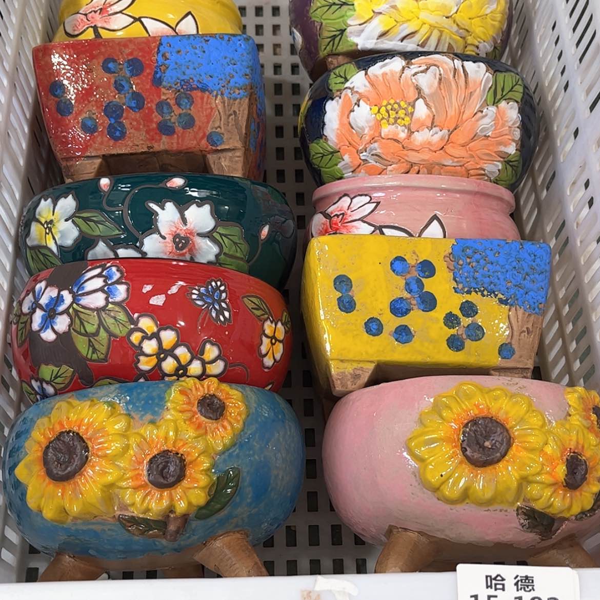 【闪购商品】红陶16117