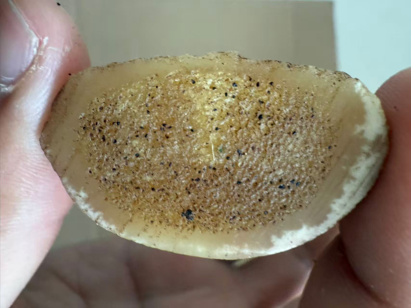 边境山货特产（---小--骨--）干货链接-