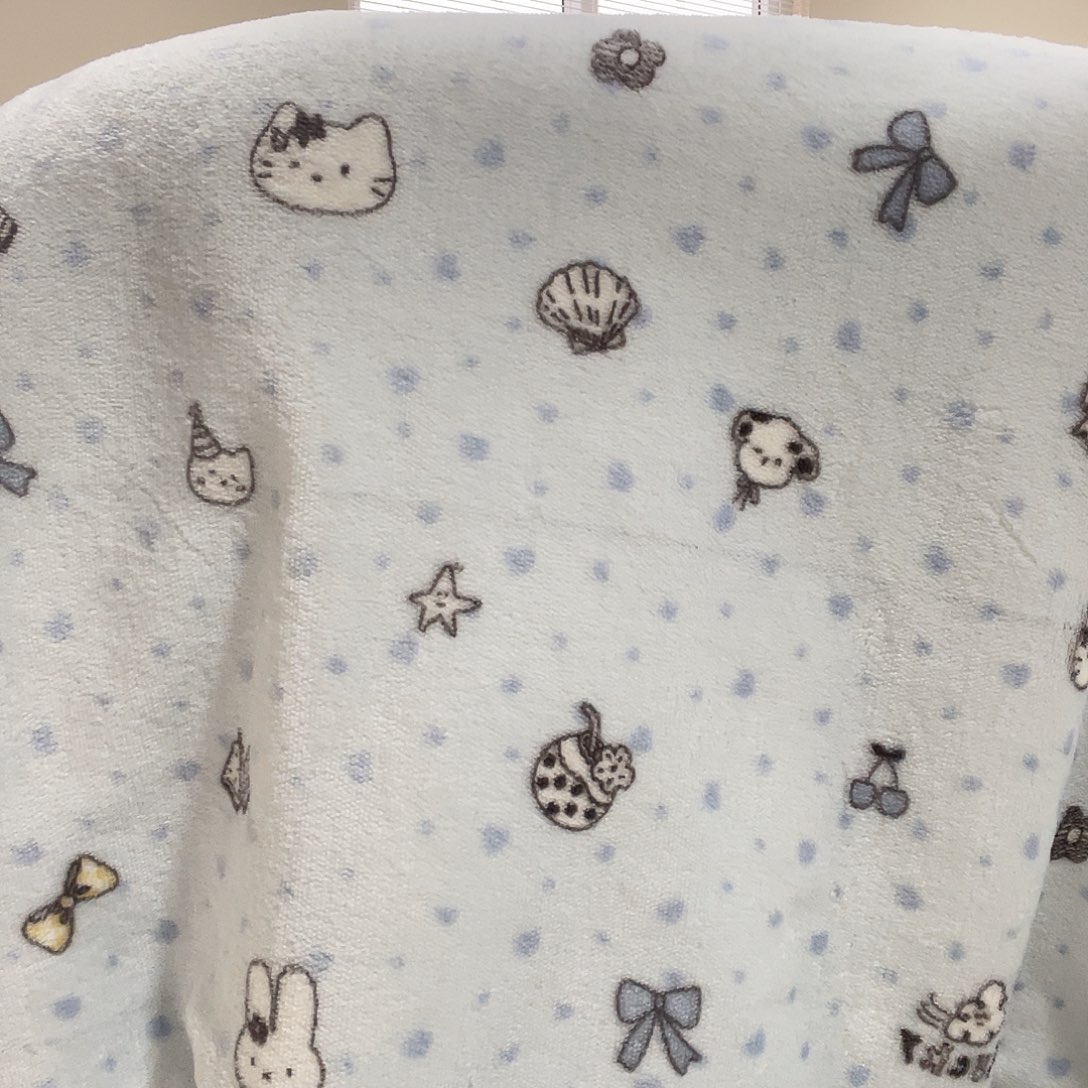 棉棉贝壳小猫70.100羊羔绒毯