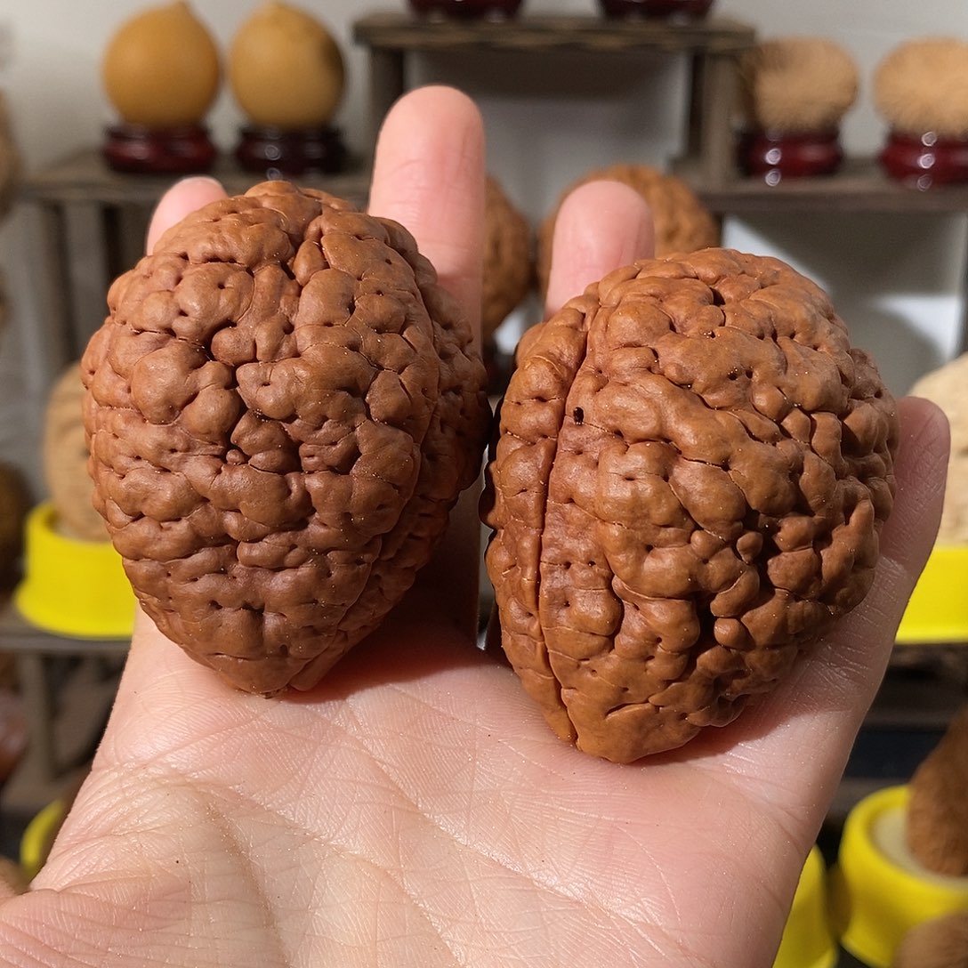 吊坠文玩核桃三瓣脑纹金刚虫眼不退不换不接受中差评47