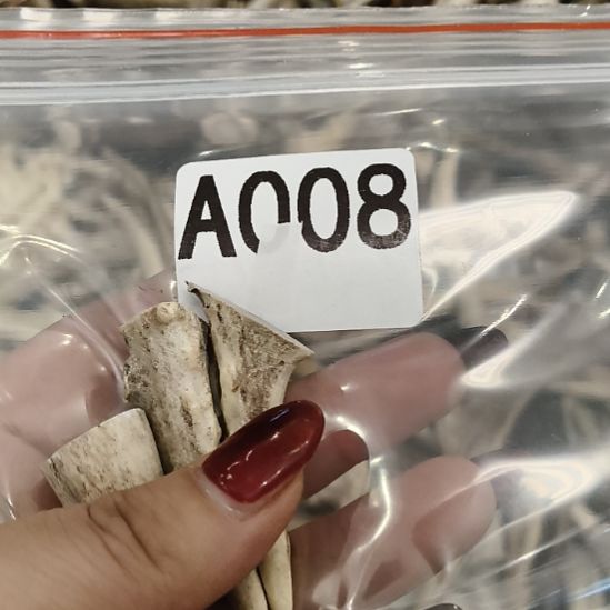 木***生鹿角鹿角鹿角鹿角鹿角