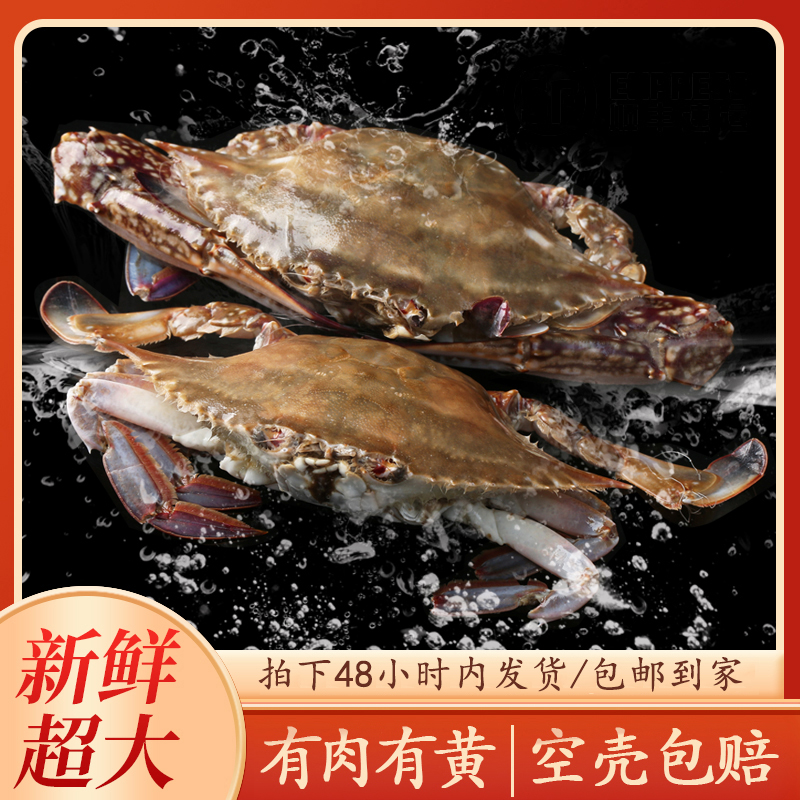 舟山梭子蟹5两/只超级巨无霸螃蟹公蟹【冻蟹】到手7只3斤半
