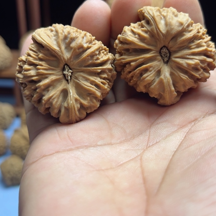 完全开放堂**德南疆石