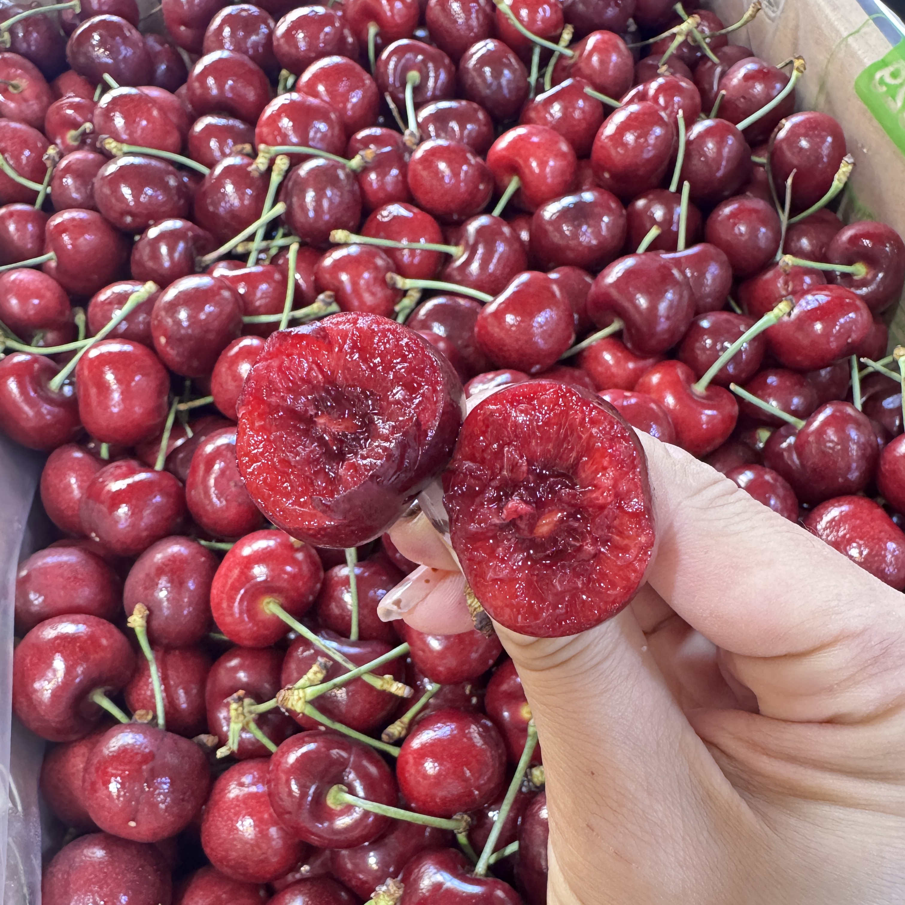 智利甜阿雅娜车厘子2J（1000g）海运