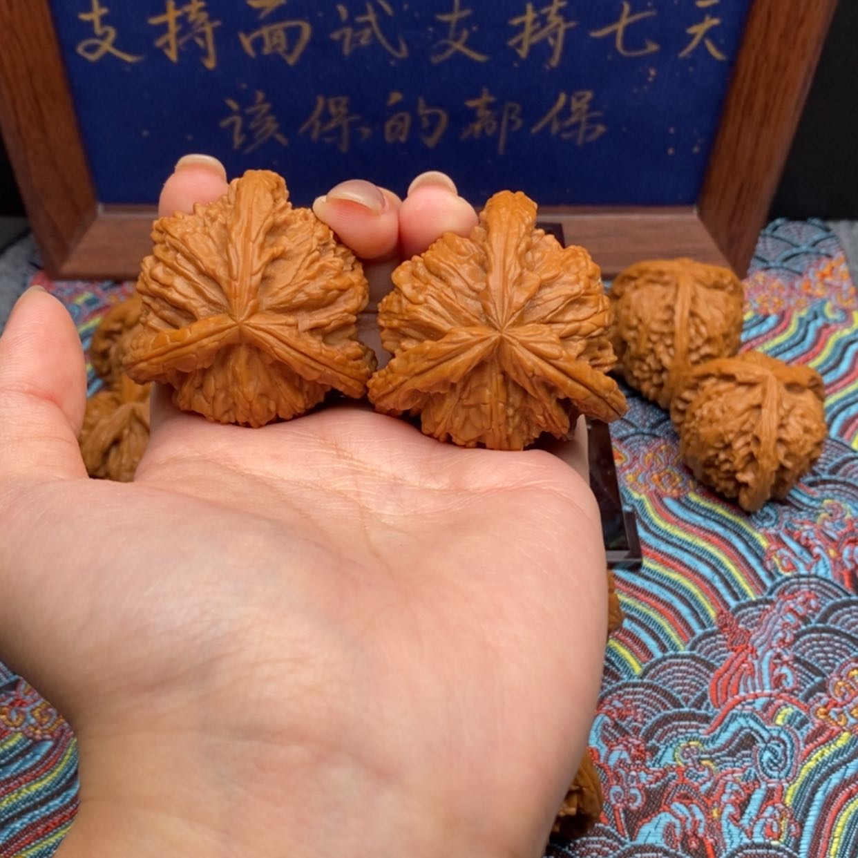 【闪购商品】只****觉白狮