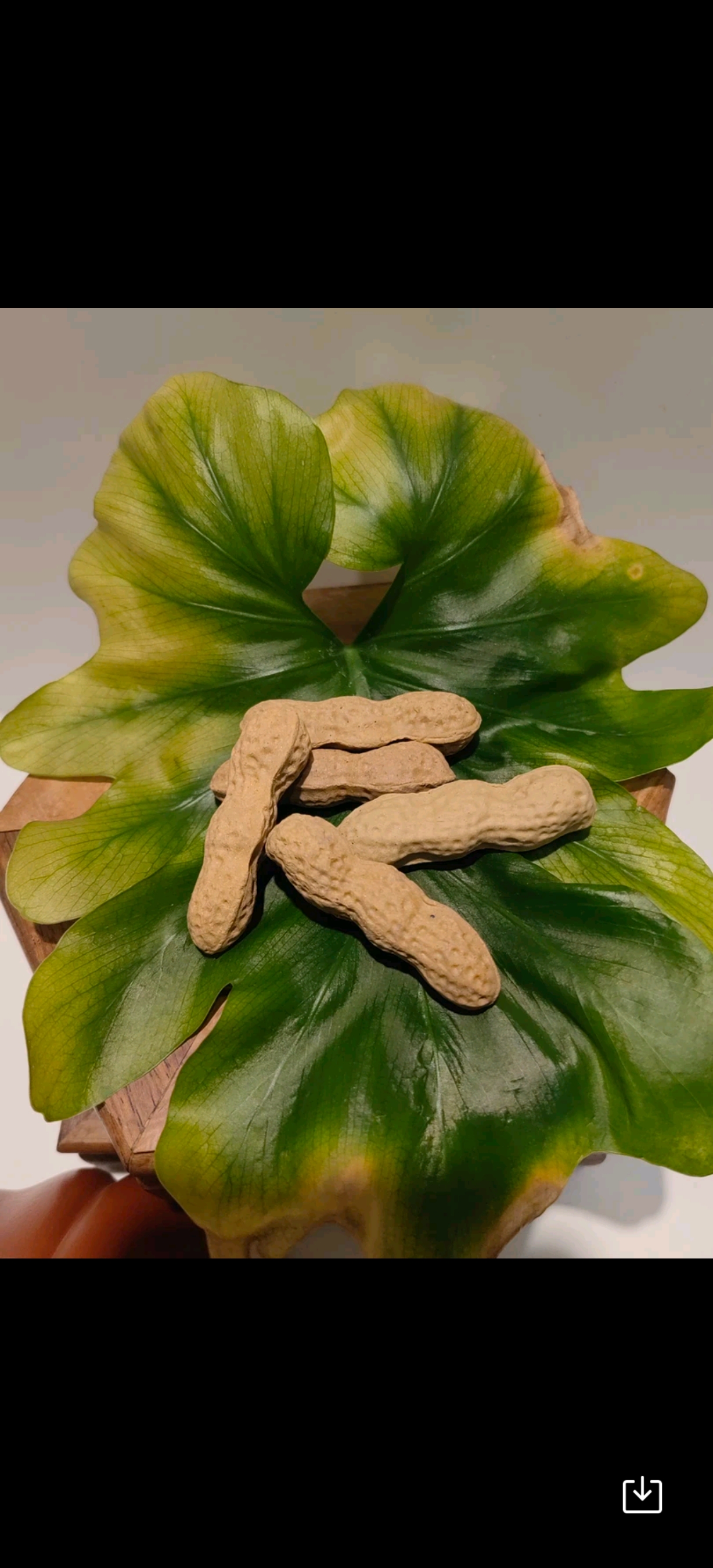 品名：茶宠花生5颗