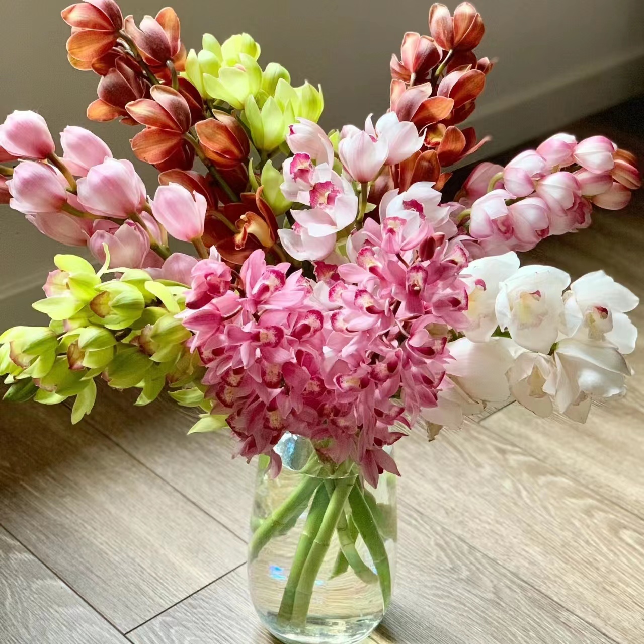 2枝大花蕙兰鲜切花（随机色）  (两单发顺丰或京东快递)