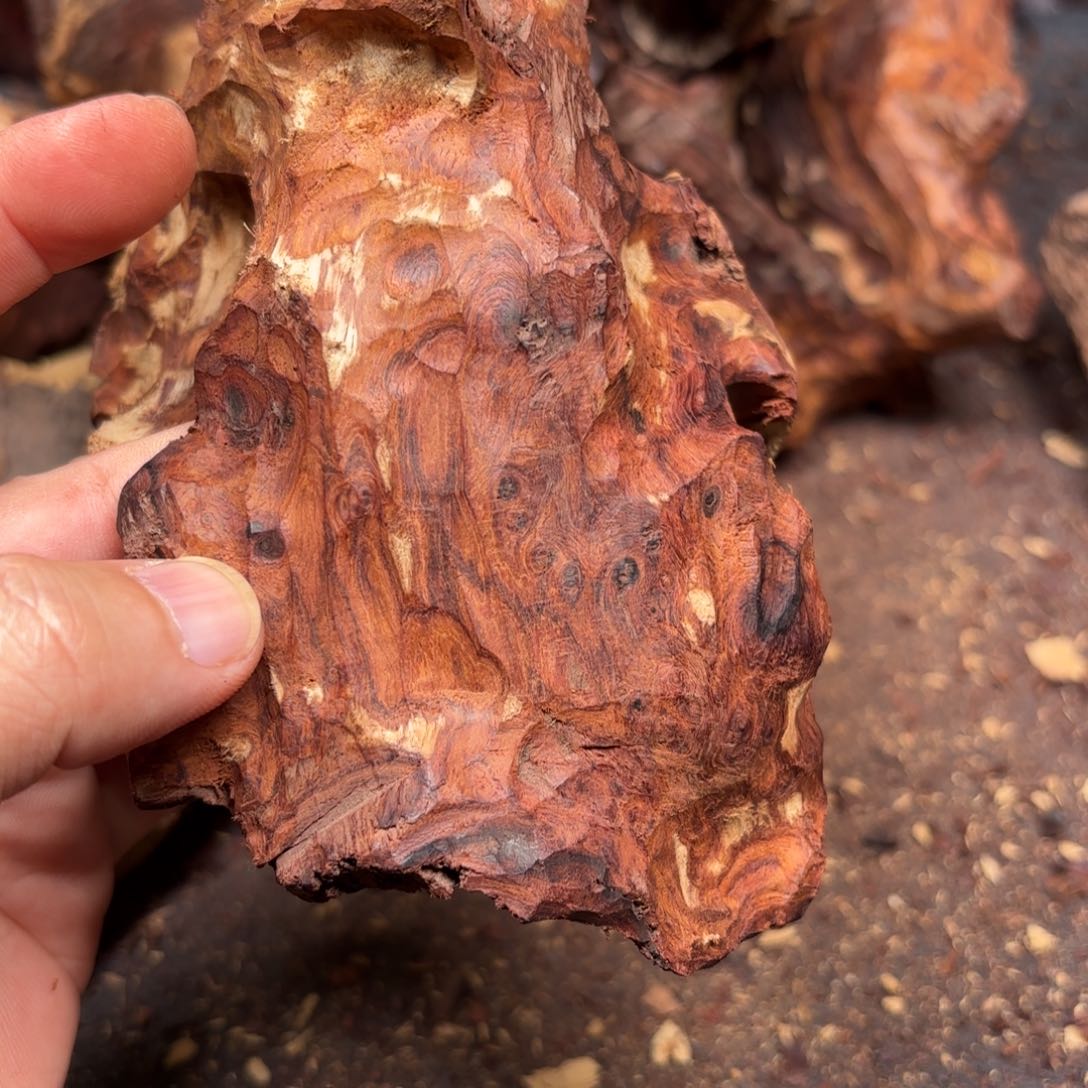 黄花梨/降香黄檀Q*Q