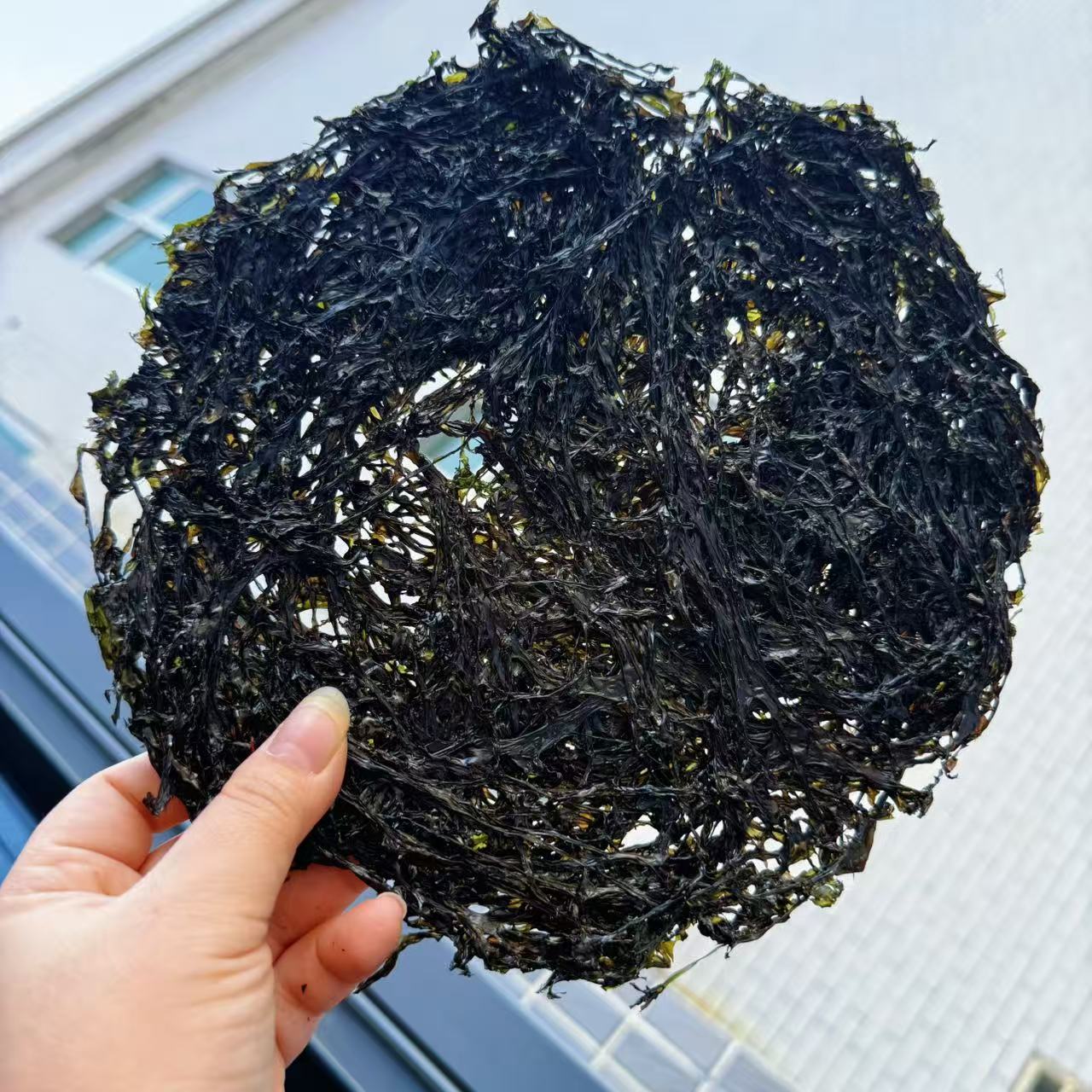 东山头水紫菜 250克