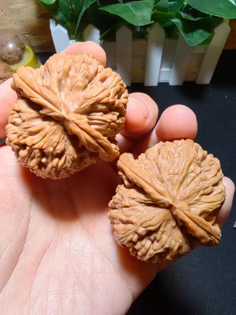 三棱四棱文玩青皮生命文玩青皮核桃文玩核桃 文玩核桃